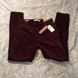 Calvin Klein burgundy velour pant NEW size 28